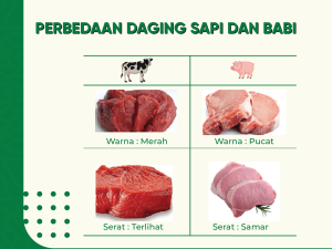 Kenali Perbedaan Daging Sapi dan Daging Babi
