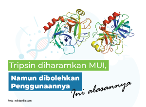 Inilah Alasan MUI Mengharamkan Tripsin, Namun Membolehkan Penggunaannya