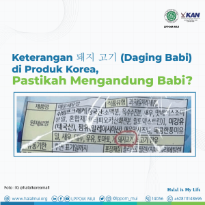 Keterangan (Daging Babi) di Produk Korea, Pastikah Mengandung Babi?
