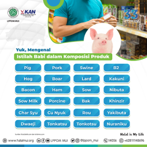 Kenali Istilah Babi dalam Komposisi Produk