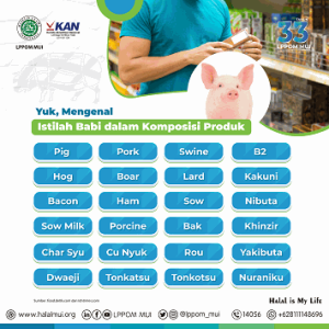 Recognizing The Pork Terms in Product Composition