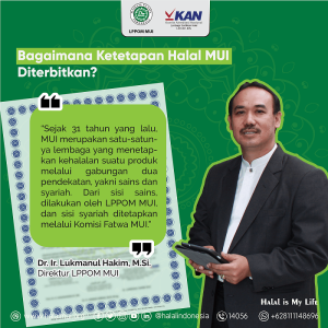 Bagaimana Ketetapan Halal MUI Diterbitkan?