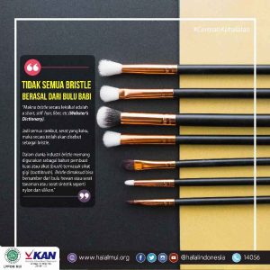 Tidak Semua Bristle Berasal dari Bulu Babi