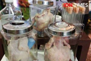 Mengenali Ayam Tiren dan Formalin