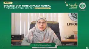Strategi UMK Indonesia Menembus Pasar Global