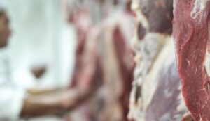 Dari Hulu ke Hilir, Inilah 3 Pilar Utama Penyembelihan yang Halal dan Thayyib
